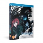 The Ancient Magus' Bride: The Boy from the West and the Knight...