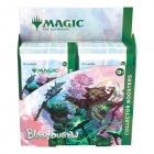 Magic the Gathering: Bloomburrow Collector Booster Display (12)