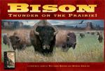 Bison: Thunder on the Prairie