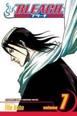 Bleach: 07