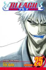 Bleach: 25