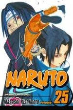 Naruto: 25