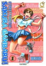 Street Fighter Sakura Ganbaru 1